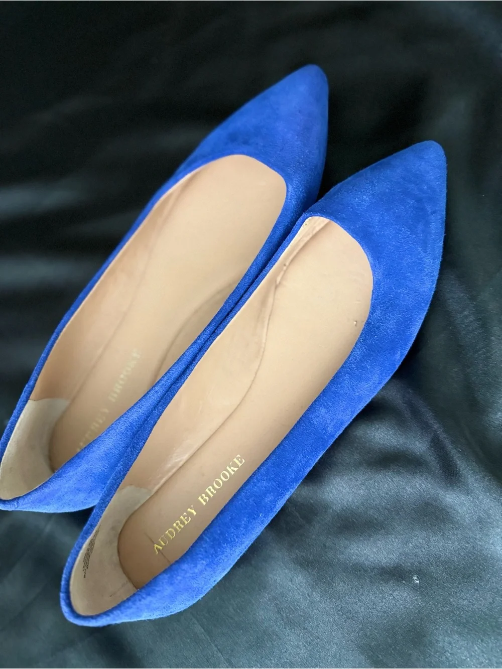 Audrey Brooke Electric Blue Pointed Toe Suede Flats